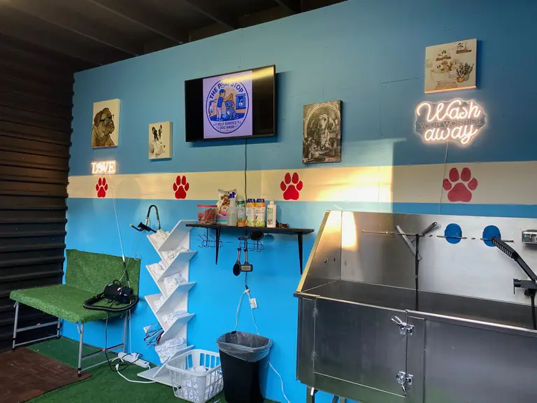 Inside the Paw Stop: blue walls, stainless tubs and dog portraits