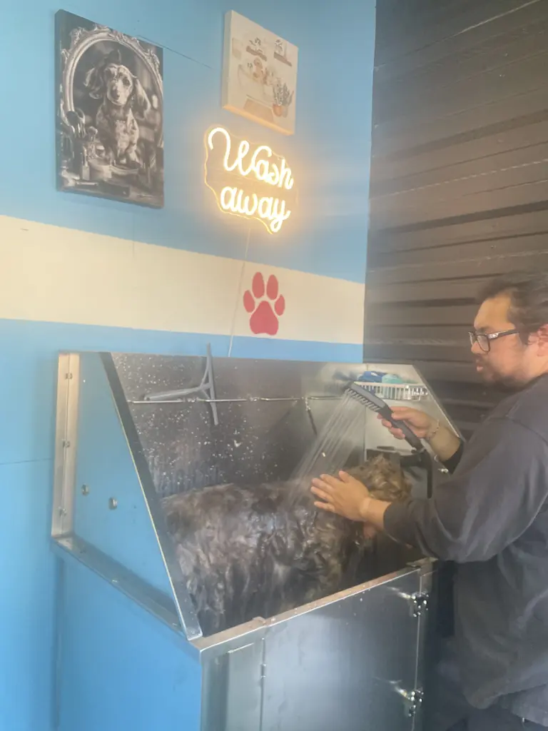 Customer washing a dog under the Wash Away neon sign