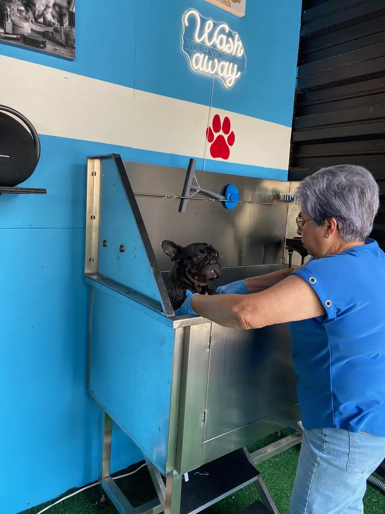 The Paw Stop, Elevated stainless tubs
